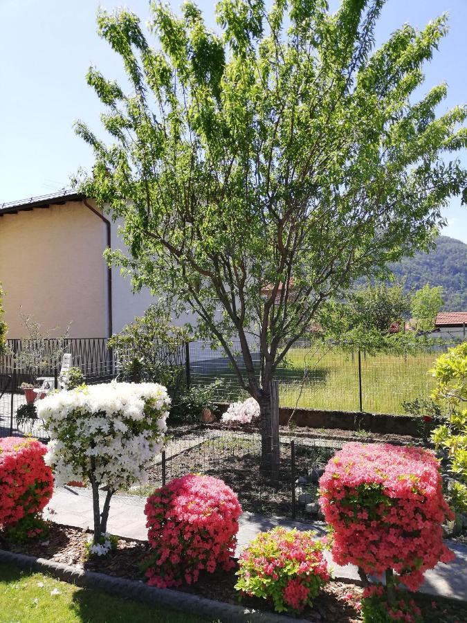 Ferienwohnung La Rosa Rossa Cambiasca Exterior foto